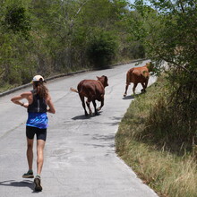 Mike Wardian - Leverick Bay to Hog Heaven Lookout (British Virgin Islands)