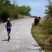 Mike Wardian - Leverick Bay to Hog Heaven Lookout (British Virgin Islands)