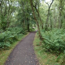 Nick Martin - Loch Leven Heritage Trail (United Kingdom)