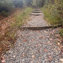 Edie Ready - Cushetunk trail - around Round Valley Reservoir (NJ)
