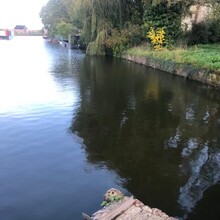 Laura Fisher - Grand Western Canal (United Kingdom)