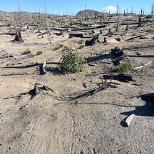 Emily Keddie - Oregon Volcanic Skyline Route