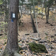 Denise Brady - Bruce Trail, Niagara Section (ON, Canada)