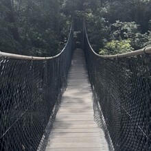Rachel Van Middeldyk - Great North Walk