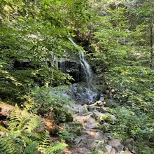 Anna Rizik - Shaupeneak Ridge - Every Trail (NY)