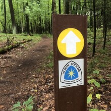 Jessica Storrison-Carmean - Scout Trail, Oak Openings Park (OH)