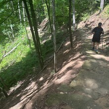 Roy Kranz, Jake Remacle, Justin Engwis - The Dragon (MI)