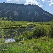Cody Draper - Elkhorn 100