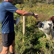Ryan Clifford - Empire State Trail (NY)