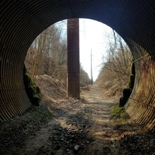 Daniel Leonard - Enola Low Grade Trail (PA)