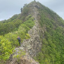 Dylan Cotton, Rozie Breslin, Nandor Szotak - Wai'anae Summit Trail (HI)