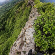 Dylan Cotton, Rozie Breslin, Nandor Szotak - Wai'anae Summit Trail (HI)