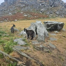 Dean Bennett, Martin Webb - West Exmoor Round