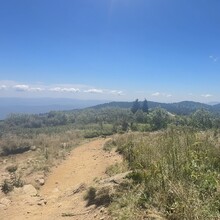 Shane Williams - Art Loeb Trail (NC)