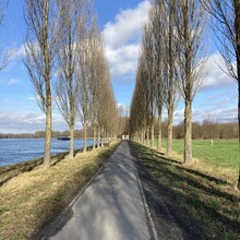 Volker Buschka - Rundtour mit Rhein bei Eggenstein-Leopoldshafen (Region Karlsruhe, Germany)