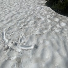 Emily Keddie - Oregon Volcanic Skyline Route