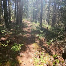 Stephen Sensoli - High Country Pathway (MI)