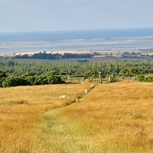 Andrew Waddington - St Cuthbert's Way (United Kingdom)