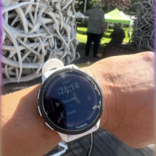 Jen Day Denton - Mt Moran (WY)