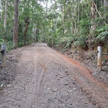 Zoe Manning - South Boundary Road