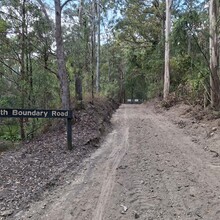 Zoe Manning - South Boundary Road
