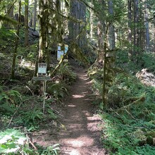 Gordon Marshall - Devil's Peak