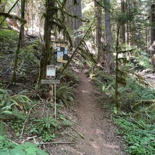 Gordon Marshall - Devil's Peak