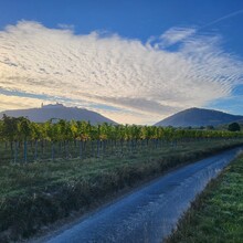 Thorben Rahlves - Weitwanderweg Kremstal-Donau (Austria)