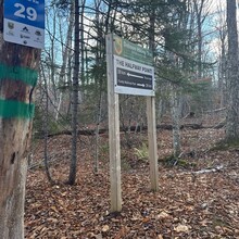 Colin Swift, Tim Barry - Dobson Trail (2025)