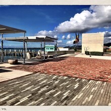 Patsy Ramirez-Arroyo - Puerto Rico East Coast (Puerto Rico)