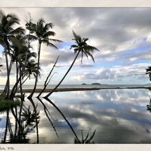 Patsy Ramirez-Arroyo - Puerto Rico East Coast (Puerto Rico)