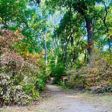 Zach Crim - Waterloo-Pinckney Trail (MI)