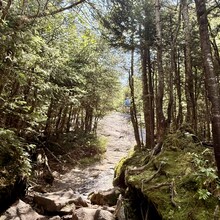 Katlin Rhodes - Most Adirondack High Peaks in 24 Hours (NY)