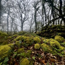 Adrien Tarenne, Todd Burch - Chemin de Compostelle: Auxerre-Vezelay (France)