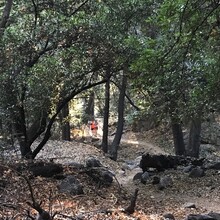 Cameron Hummels, Ellen Kenny, Zachary Bower - Gabrielino