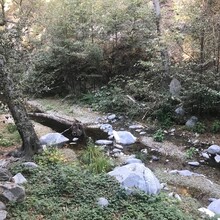 Cameron Hummels, Ellen Kenny, Zachary Bower - Gabrielino