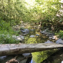 Cameron Hummels - Gabrielino