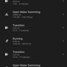 Jen Day Denton - Mt Moran (WY)