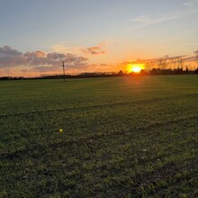 Andrew Harrower - Stour Valley Walk (United Kingdom)