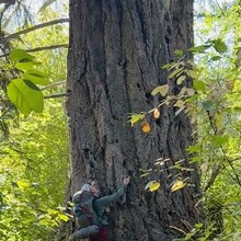Emma Hull - Sea to Sky Trail - Squamish to Pemberton