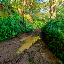 Tara Warren - Kauai Powerline Trail (Princeville Start)