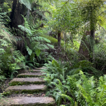 Lisa Dermody, Tanya White - Great West Walk