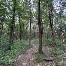 Heather DeRose - Binder Park Trails Challenge (MO)