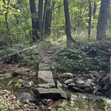 Heather DeRose - Binder Park Trails Challenge (MO)