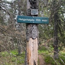 Randi Aalgaard - Nordmarka High Five (Norway)