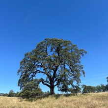 Roland Banas - Folsom Lake Perimeter (trail) (CA)