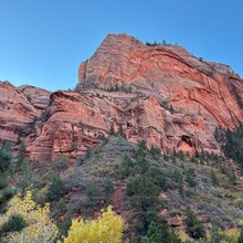 Elyse Fischer - Zion Crossing (UT)