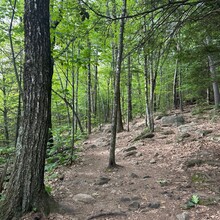 Alexandria Leveille - Mt. Major Redline (NH)