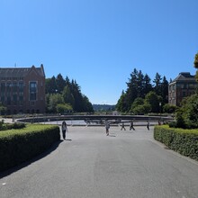 Sam Schmidt - Seattle Olmsted 50k