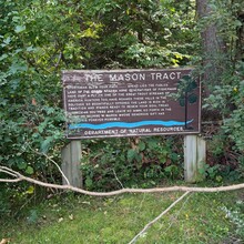 Amanda Hughes - Mason Tract Pathway (MI)